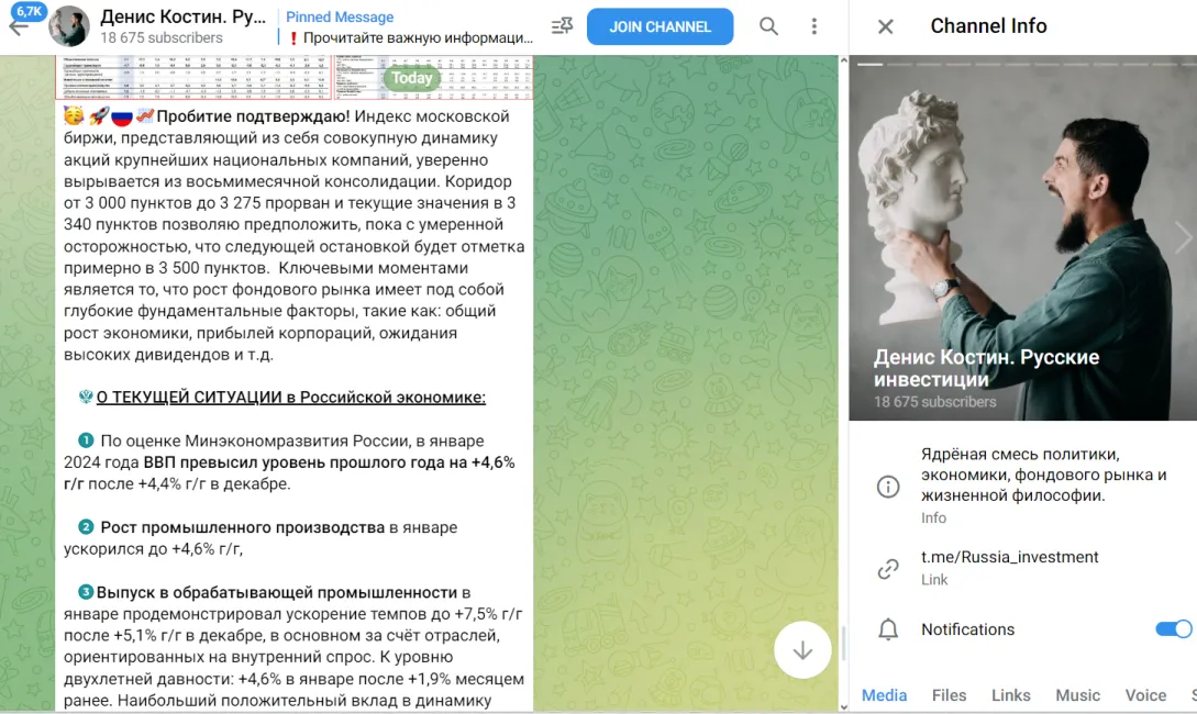 отчеты русские инвестиции проект