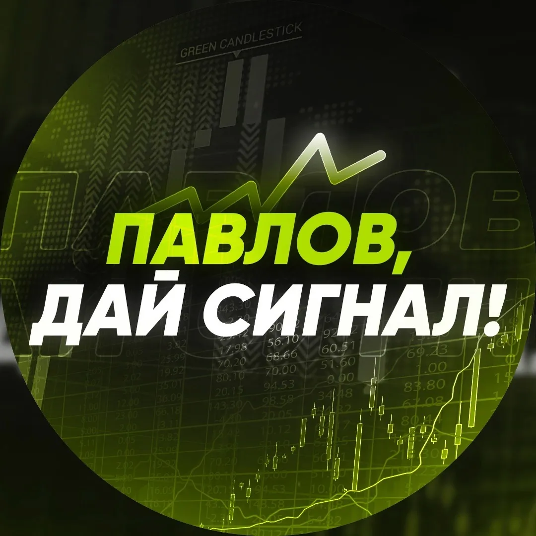 Павлов Дай Сигнал — отзывы и рейтинг