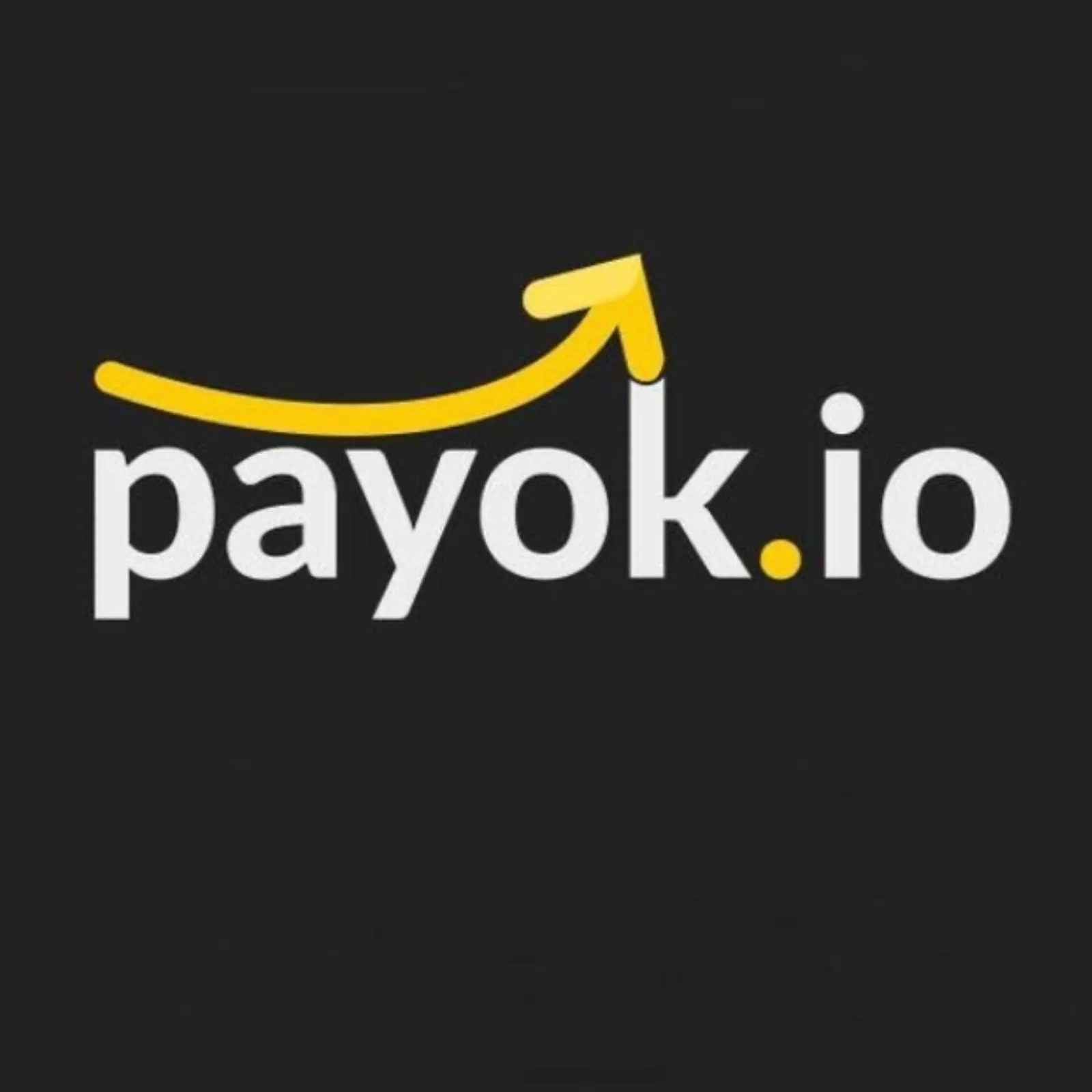Payok — отзывы и рейтинг