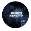 Promint — отзывы и рейтинг