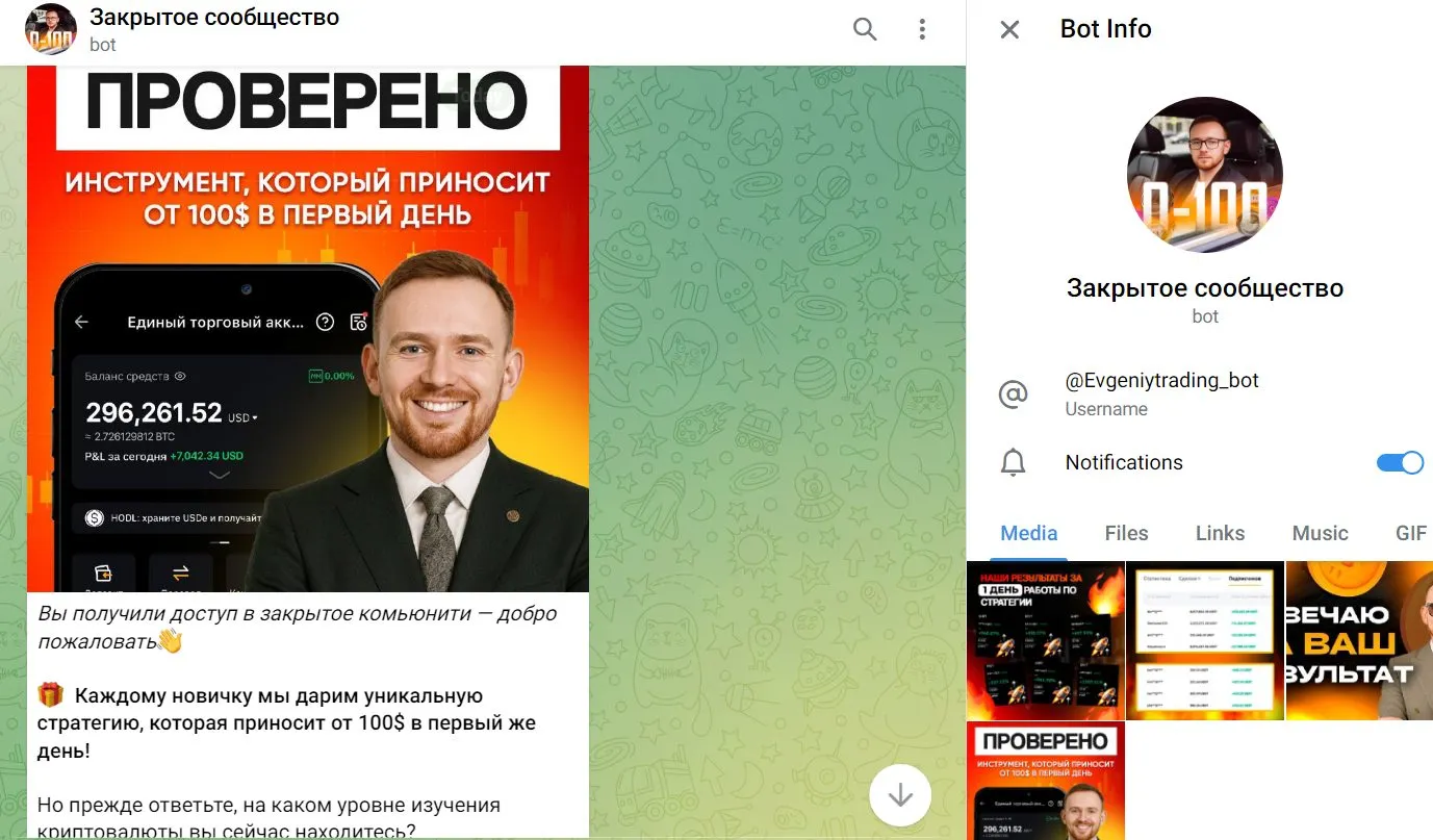 rost 0 100 novogodniy start