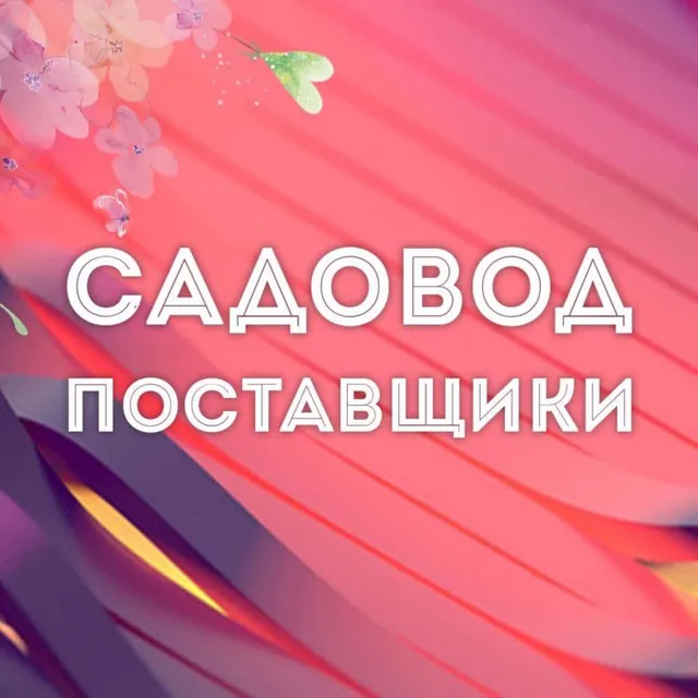 Sadovod Sigarety — отзывы и рейтинг