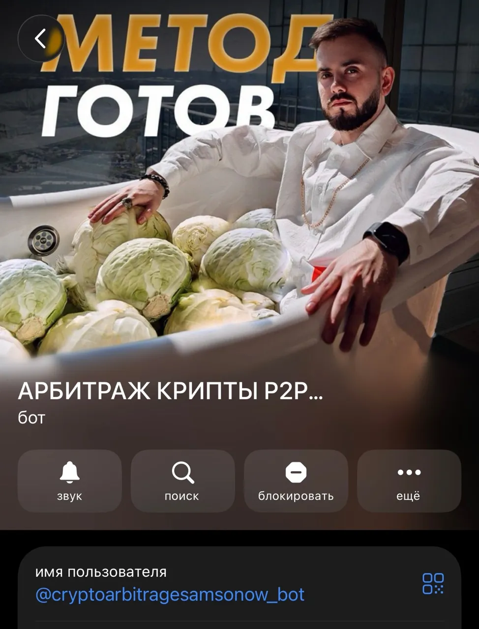 самсонов дмитрий мошенник