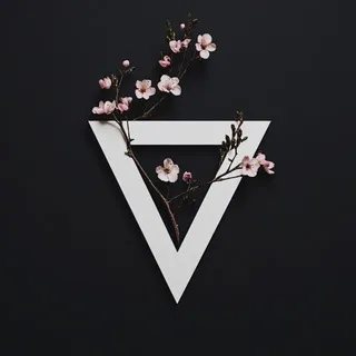 ShadowSocks — отзывы и рейтинг