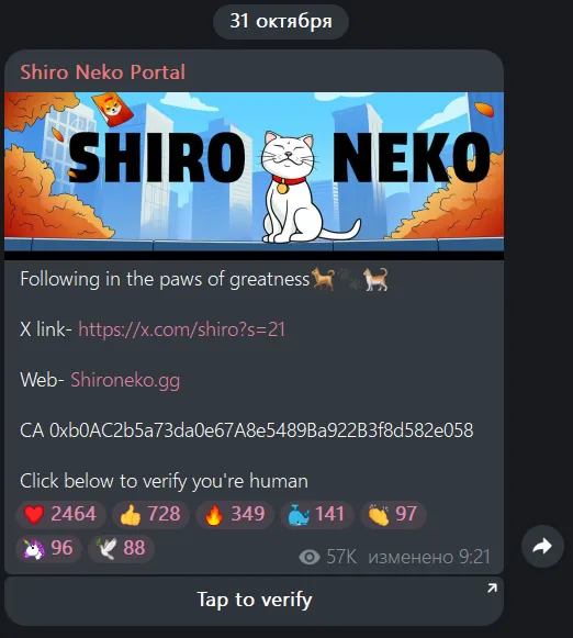 shiro community shiro community
