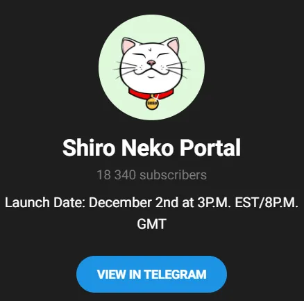 shiro neko gg shiro neko gg