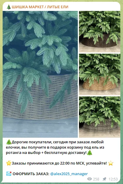 шишка маркет елки отзывы
