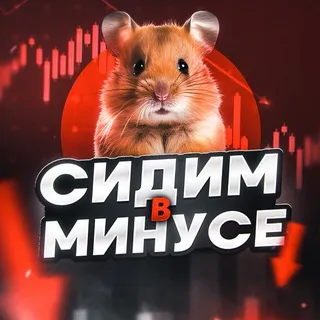 Сидим в Минусе — отзывы и рейтинг