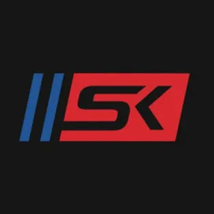 Sk Auto Trading Франшиза — отзывы и рейтинг