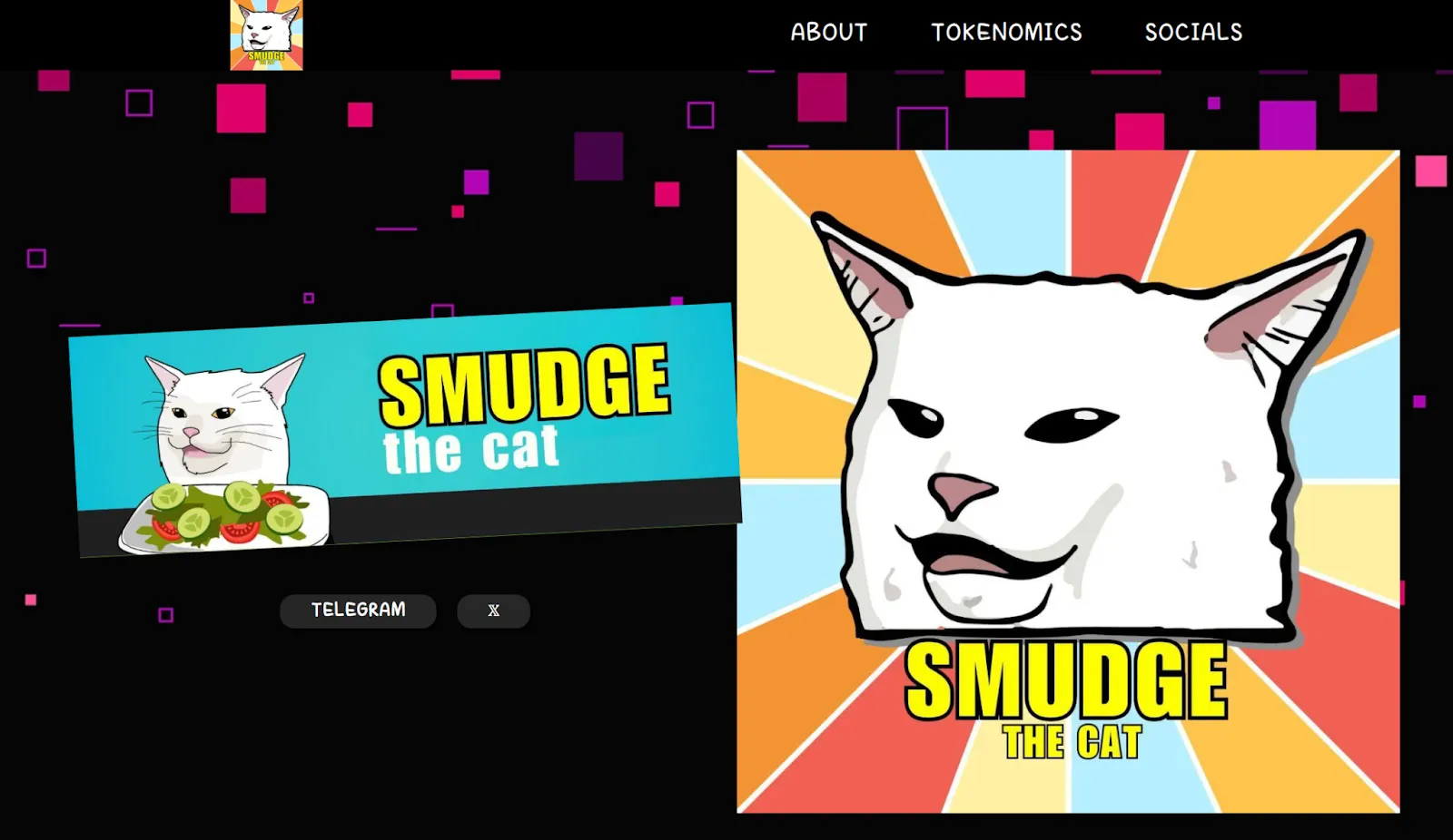 smudge the cat smudge the cat