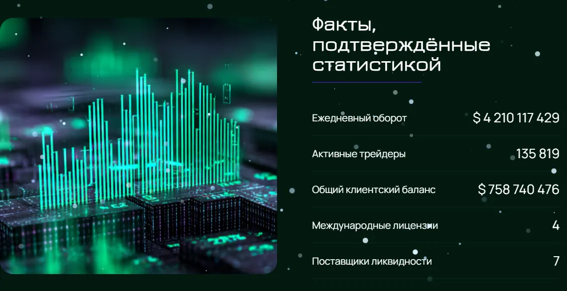 snowedin xyz отзывы