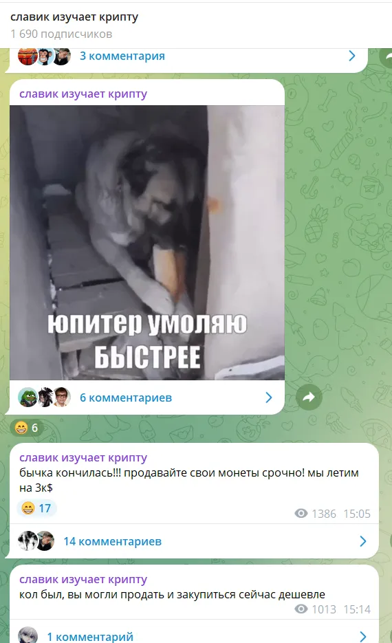Telegram проект ArtemShitpo Telegram проект ArtemShitpo
