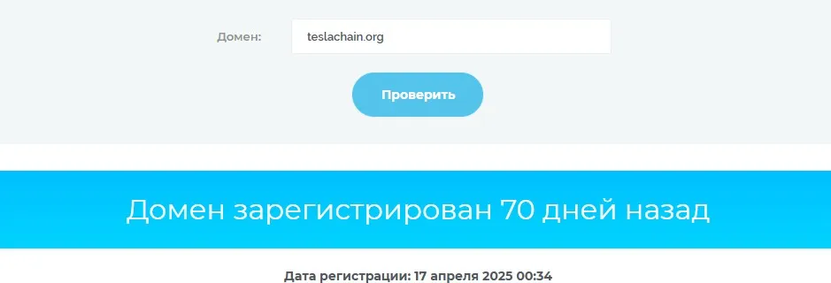 teslachain net