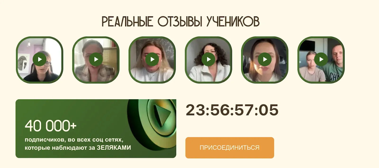 курс земляки отзывы