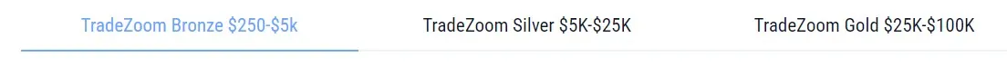 Площадка Trade Zoom