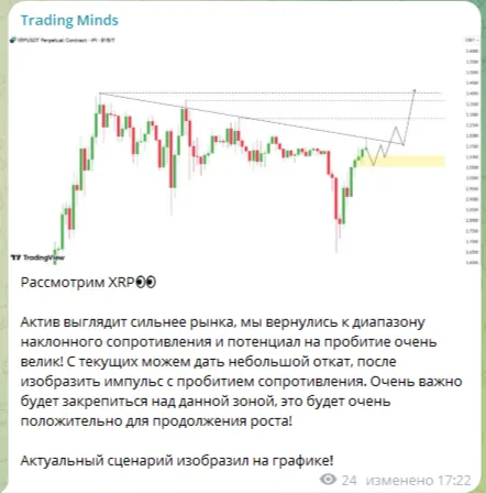 Trading Minds Trading Minds