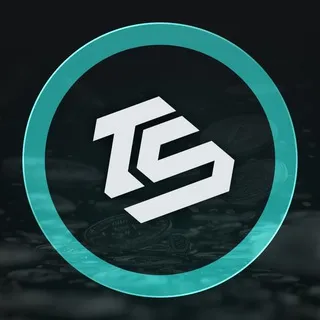 Tsystem — отзывы и рейтинг