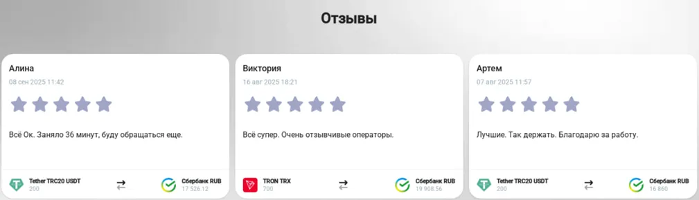 info vibebit cc info vibebit cc