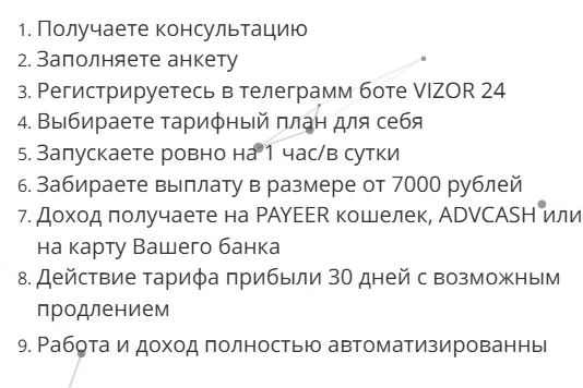 Визор 24 бот