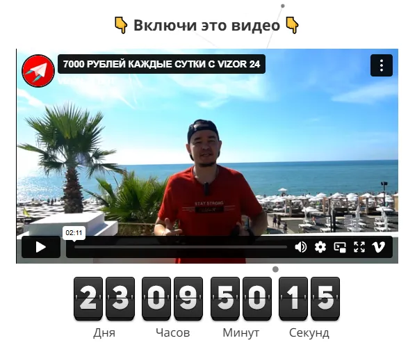 Vizor 24 Bot отзывы
