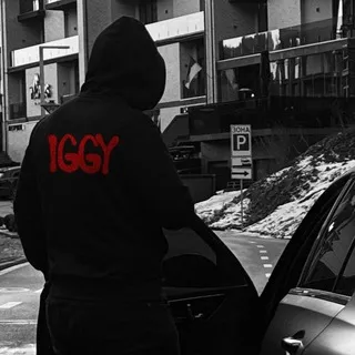 Whoisiggy — отзывы и рейтинг