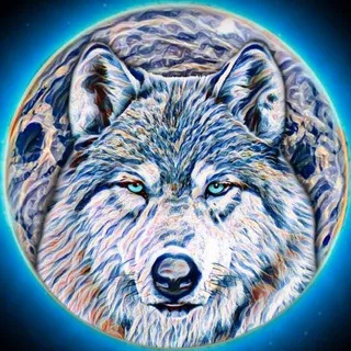 Winter Wolves Trading — отзывы и рейтинг