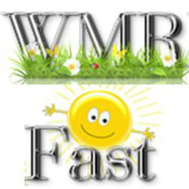 Wmrfast — отзывы и рейтинг
