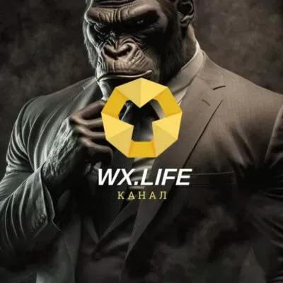 WX LIFE — отзывы и рейтинг
